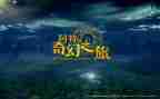 少年牧羊奇幻之旅读后感7篇