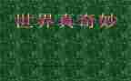 奇妙的作文最新6篇