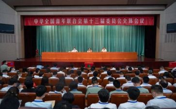 青联第十三届全委会观后感8篇