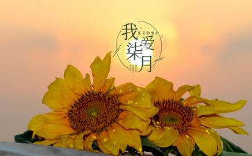 七月作文5篇