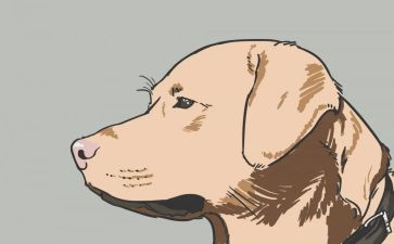 猎犬读后感8篇