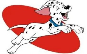 犬只管理调研报告6篇