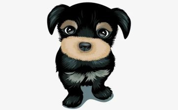 犬管理工作总结优质5篇
