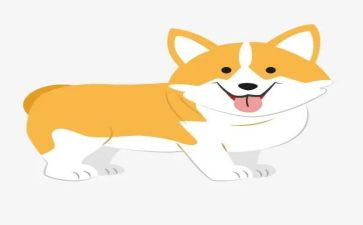 犬管理工作总结参考8篇