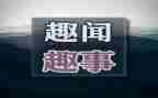 趣事高中作文800字优秀5篇