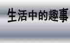 校园趣事作文500字5篇