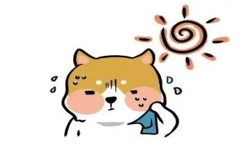 热爱作文700字8篇