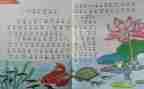 2024年小学教师个人教学工作计划8篇