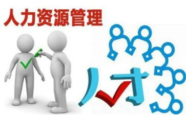 对人力资源的总结报告7篇