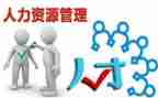 对人力资源的总结报告7篇