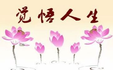人生如作文800字优秀5篇