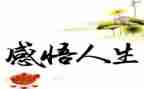 人生如作文800字6篇