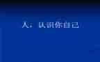小班认识枪的教案推荐5篇