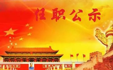 任职以来技术工作总结8篇