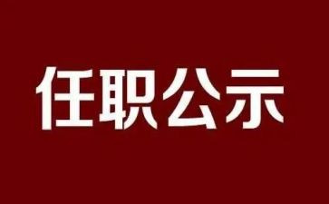 任职的心得体会5篇