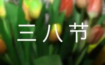 三八节领导讲话稿7篇