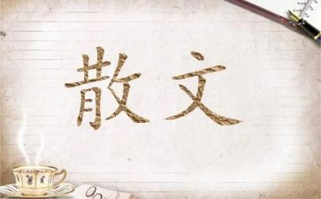 散文精选林清玄读后感5篇