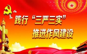 村三严三实述职报告6篇