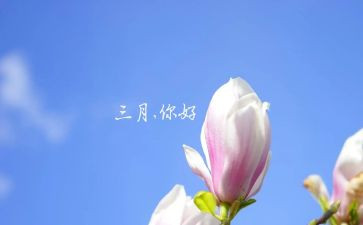 思想汇报三月20241000字8篇