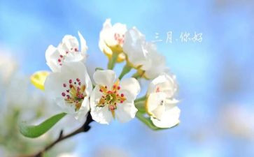三月思想汇报7篇