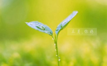 三月物业工作计划7篇