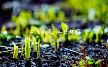 三月雷锋活动总结7篇