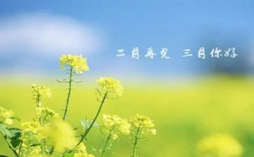 三月份幼儿教师工作总结5篇