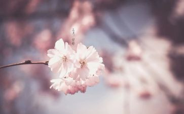 班主任三月工作计划8篇