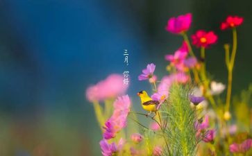 三月份村工作总结通用7篇