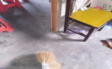 扫除活动总结精选5篇