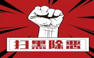 扫黑除恶半年工作总结6篇