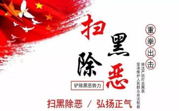 2023年扫黑除恶工作报告6篇