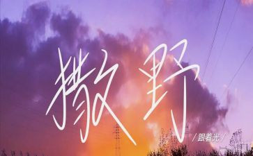 撒野二读后感7篇