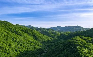 山东开学第一课心得体会5篇