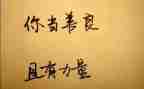 善作文1000字精选5篇