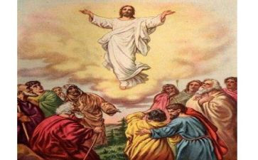 上帝鸟读后感6篇