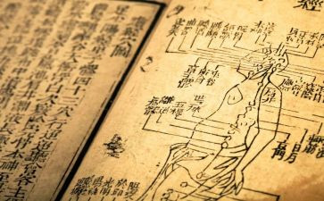 读伤寒论心得体会6篇