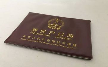 出生上户申请书5篇