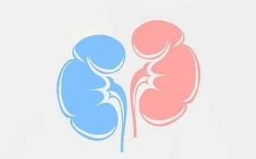 肾内科护士长个人述职报告7篇