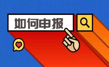 申报工程师专业技术工作总结7篇