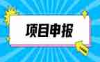 申报事迹材料1000字5篇