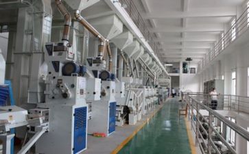 安全生产月主题活动总结推荐6篇