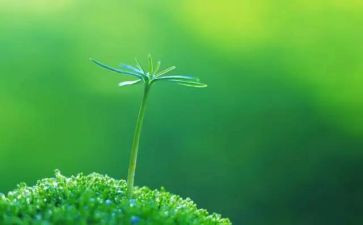 听珍爱生命讲座心得体会5篇