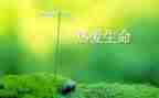 珍爱生命,预防溺水心得体会优质6篇