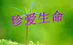 我生命作文500字模板5篇