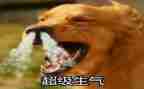 我生气的时候作文6篇