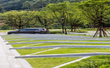 生态调查报告范文5篇