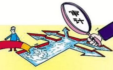 审计报告年度总结参考7篇