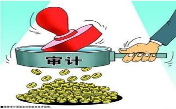 审计的工作总结报告8篇