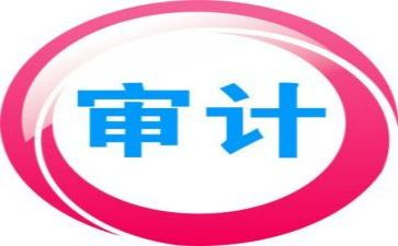 审计室工作总结优秀5篇